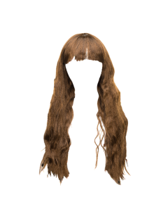 Perruque Longue Blonde Naturelle