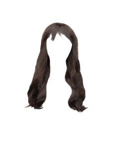 Perruque Noire Lisse Extra Longue