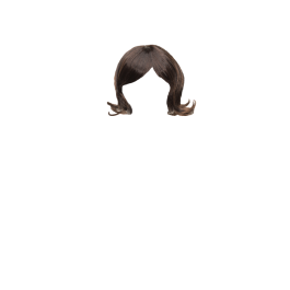 Perruque Courte Brune Bob