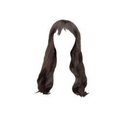 Perruque Noire Lisse Extra Longue